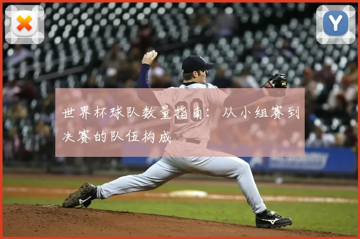 世界杯球队数量指南：从小组赛到决赛的队伍构成