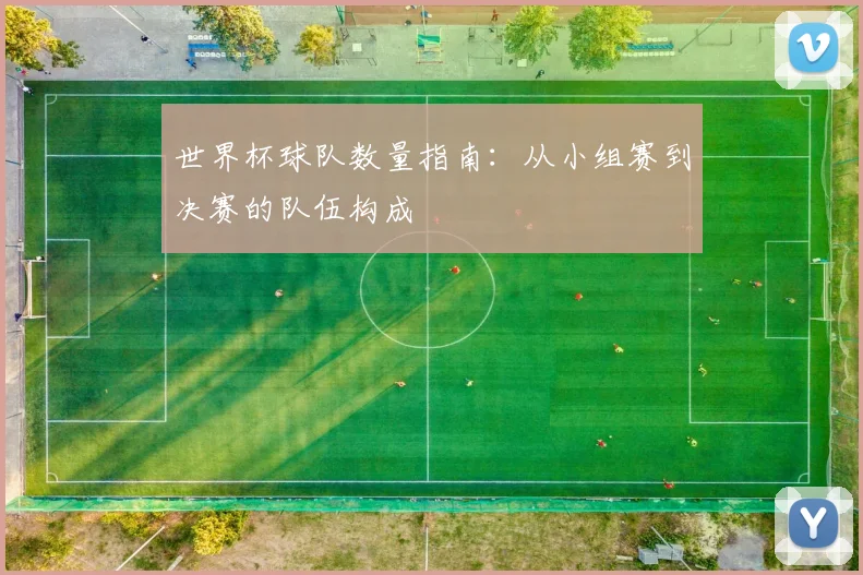 世界杯球队数量指南：从小组赛到决赛的队伍构成