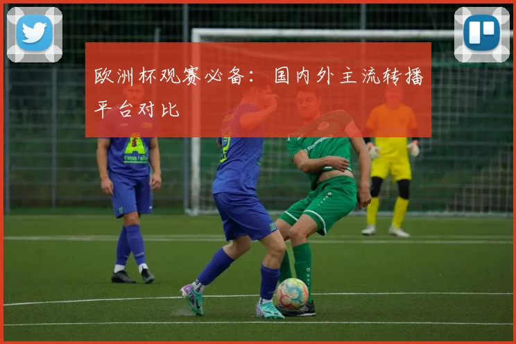 欧洲杯观赛必备：国内外主流转播平台对比